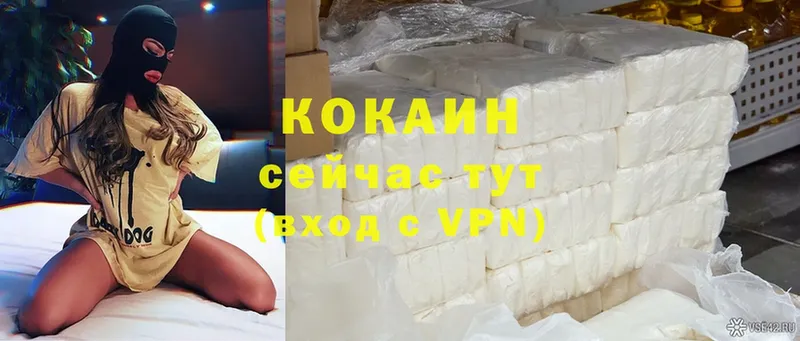 что такое   Соликамск  Cocaine Fish Scale 