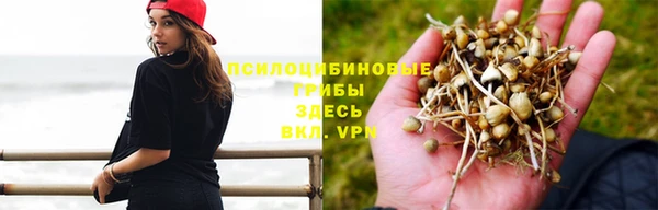 альфа пвп Нязепетровск