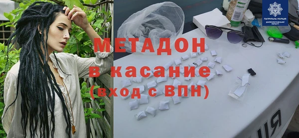 прущие грибы Новозыбков