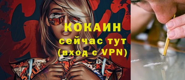 винт Нягань
