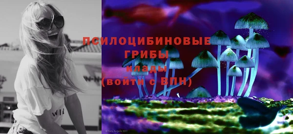 альфа пвп Нязепетровск