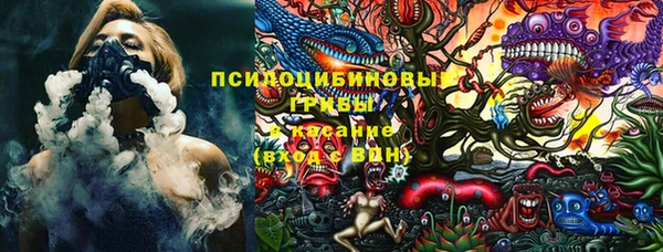 винт Нягань