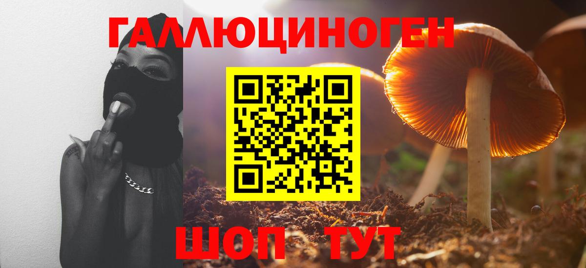 Псилоцибиновые грибы мицелий  Псилоцибиновые грибы Cubensis  Вход с VPN  Соликамск 